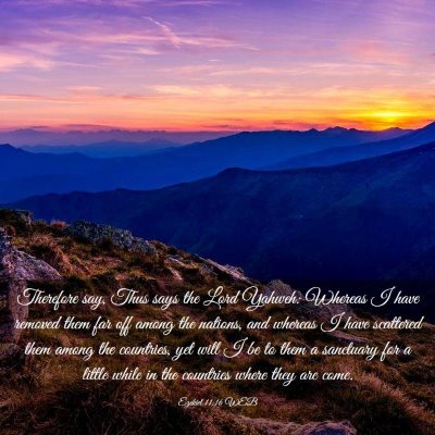Picture 03 - Ezekiel 11:16 WEB - Therefore say, Thus says the Lord Yahweh: Whereas - Bible Verse Picture