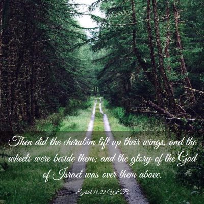 Picture 03 - Ezekiel 11:22 WEB - Then did the cherubim lift up their wings, and - Bible Verse Picture