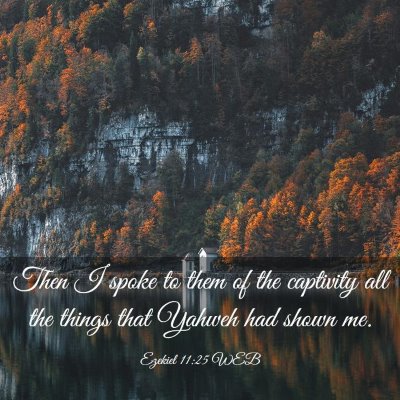 Picture 03 - Ezekiel 11:25 WEB - Then I spoke to them of the captivity all the - Bible Verse Picture