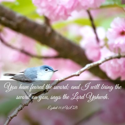 Picture 03 - Ezekiel 11:8 WEB - You have feared the sword; and I will bring the - Bible Verse Picture