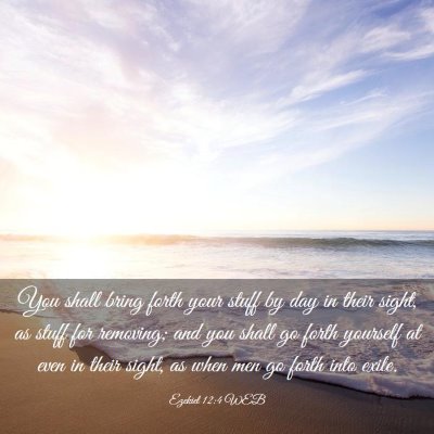 Picture 03 - Ezekiel 12:4 WEB - You shall bring forth your stuff by day in their - Bible Verse Picture
