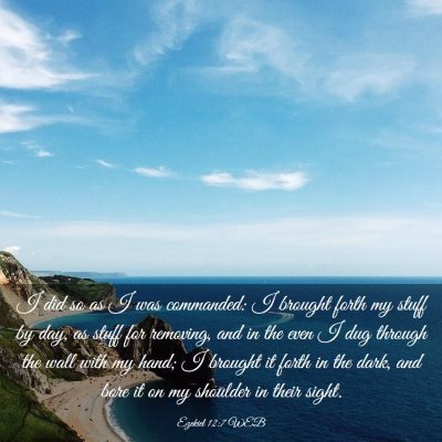 Picture 03 - Ezekiel 12:7 WEB - I did so as I was commanded: I brought forth my - Bible Verse Picture