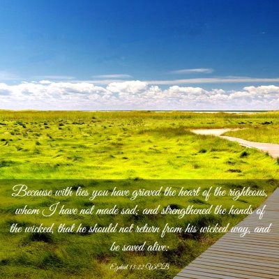 Picture 03 - Ezekiel 13:22 WEB - Because with lies you have grieved the heart of - Bible Verse Picture