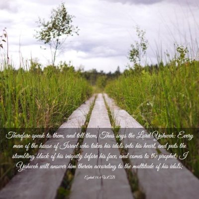 Picture 03 - Ezekiel 14:4 WEB - Therefore speak to them, and tell them, Thus says - Bible Verse Picture