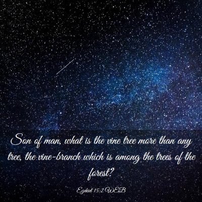 Picture 03 - Ezekiel 15:2 WEB - Son of man, what is the vine tree more than any - Bible Verse Picture