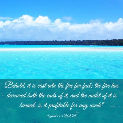 Picture 03 - Ezekiel 15:4 WEB - Behold, it is cast into the fire for fuel; the - Bible Verse Picture