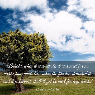 Picture 03 - Ezekiel 15:5 WEB - Behold, when it was whole, it was meet for no - Bible Verse Picture