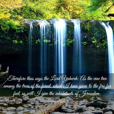 Picture 03 - Ezekiel 15:6 WEB - Therefore thus says the Lord Yahweh: As the vine - Bible Verse Picture