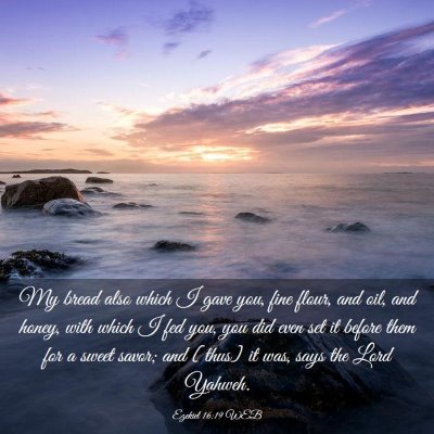 Picture 03 - Ezekiel 16:19 WEB - My bread also which I gave you, fine flour, and - Bible Verse Picture
