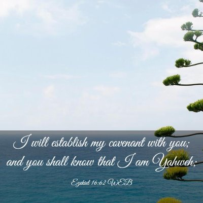 Picture 03 - Ezekiel 16:62 WEB - I will establish my covenant with you; and you - Bible Verse Picture