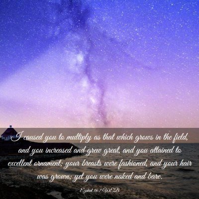 Picture 03 - Ezekiel 16:7 WEB - I caused you to multiply as that which grows in - Bible Verse Picture