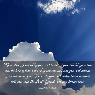 Picture 03 - Ezekiel 16:8 WEB - Now when I passed by you, and looked at you, - Bible Verse Picture