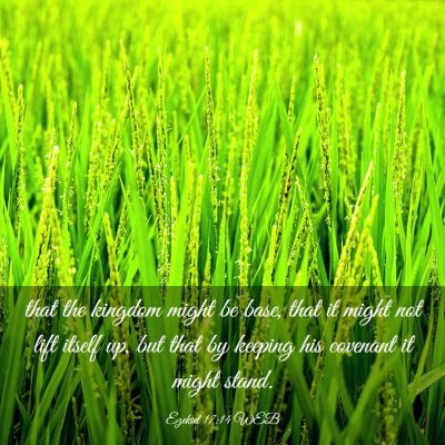 Picture 03 - Ezekiel 17:14 WEB - that the kingdom might be base, that it might not - Bible Verse Picture