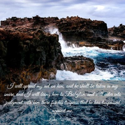 Picture 03 - Ezekiel 17:20 WEB - I will spread my net on him, and he shall be - Bible Verse Picture