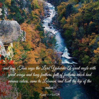 Picture 03 - Ezekiel 17:3 WEB - and say, Thus says the Lord Yahweh: A great eagle - Bible Verse Picture