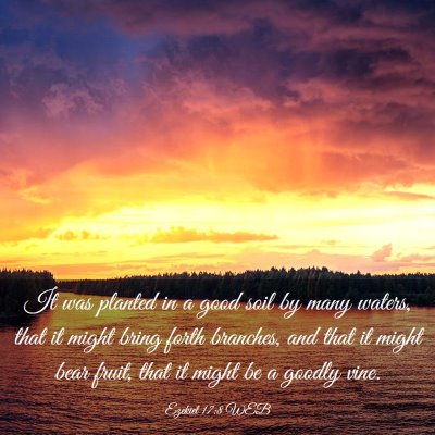 Picture 03 - Ezekiel 17:8 WEB - It was planted in a good soil by many waters, - Bible Verse Picture