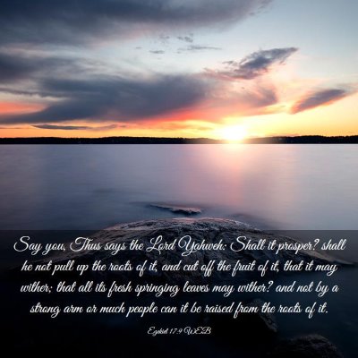 Picture 03 - Ezekiel 17:9 WEB - Say you, Thus says the Lord Yahweh: Shall it - Bible Verse Picture