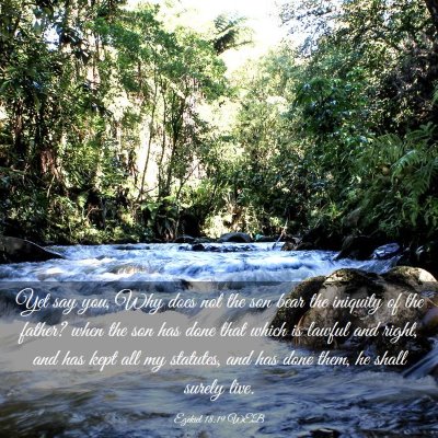Picture 03 - Ezekiel 18:19 WEB - Yet say you, Why does not the son bear the - Bible Verse Picture