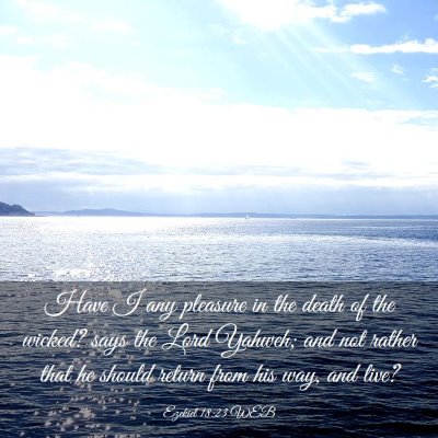 Picture 03 - Ezekiel 18:23 WEB - Have I any pleasure in the death of the wicked? - Bible Verse Picture