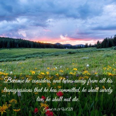 Picture 03 - Ezekiel 18:28 WEB - Because he considers, and turns away from all his - Bible Verse Picture
