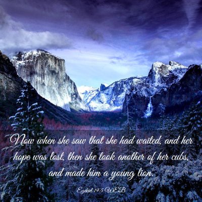 Picture 03 - Ezekiel 19:5 WEB - Now when she saw that she had waited, and her - Bible Verse Picture