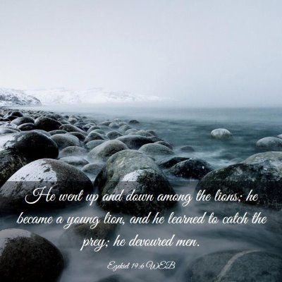 Picture 03 - Ezekiel 19:6 WEB - He went up and down among the lions; he became a - Bible Verse Picture
