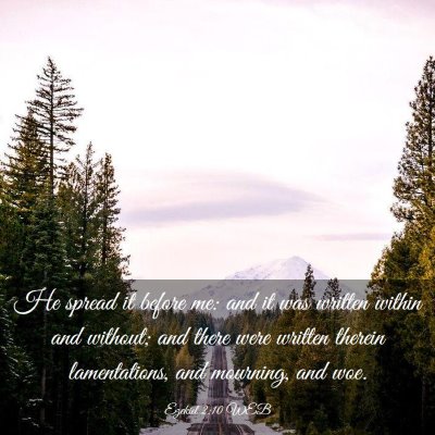 Picture 03 - Ezekiel 2:10 WEB - He spread it before me: and it was written within - Bible Verse Picture