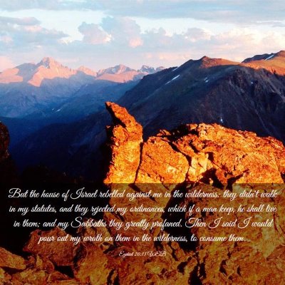 Picture 03 - Ezekiel 20:13 WEB - But the house of Israel rebelled against me in - Bible Verse Picture