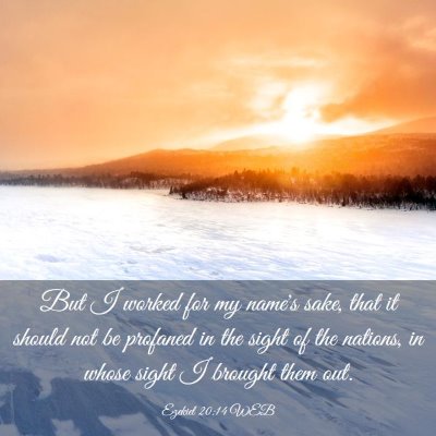 Picture 03 - Ezekiel 20:14 WEB - But I worked for my name's sake, that it should - Bible Verse Picture