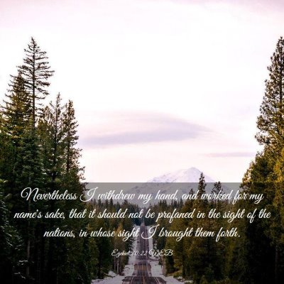 Picture 03 - Ezekiel 20:22 WEB - Nevertheless I withdrew my hand, and worked for - Bible Verse Picture