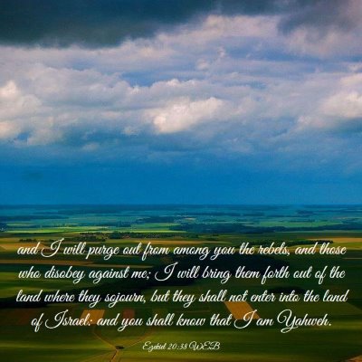 Picture 03 - Ezekiel 20:38 WEB - and I will purge out from among you the rebels, - Bible Verse Picture