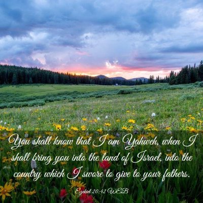 Picture 03 - Ezekiel 20:42 WEB - You shall know that I am Yahweh, when I shall - Bible Verse Picture