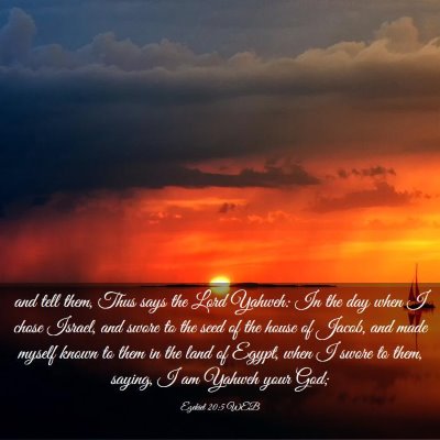 Picture 03 - Ezekiel 20:5 WEB - and tell them, Thus says the Lord Yahweh: In the - Bible Verse Picture