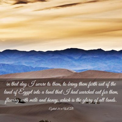 Picture 03 - Ezekiel 20:6 WEB - in that day I swore to them, to bring them forth - Bible Verse Picture