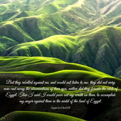 Picture 03 - Ezekiel 20:8 WEB - But they rebelled against me, and would not - Bible Verse Picture