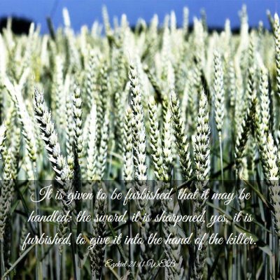 Picture 03 - Ezekiel 21:11 WEB - It is given to be furbished, that it may be - Bible Verse Picture