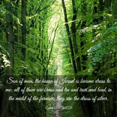 Picture 03 - Ezekiel 22:18 WEB - Son of man, the house of Israel is become dross - Bible Verse Picture