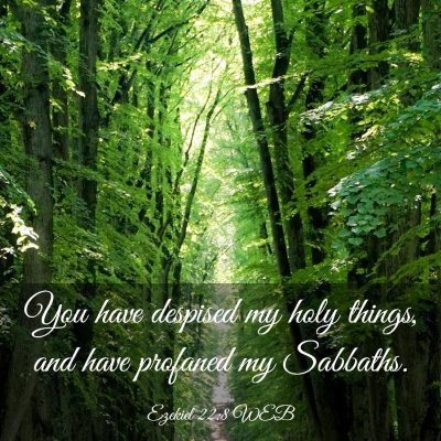 Picture 03 - Ezekiel 22:8 WEB - You have despised my holy things, and have - Bible Verse Picture