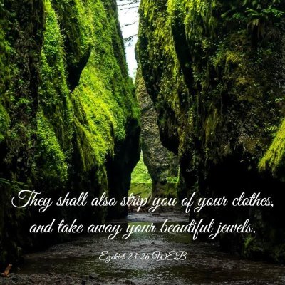 Picture 03 - Ezekiel 23:26 WEB - They shall also strip you of your clothes, and - Bible Verse Picture