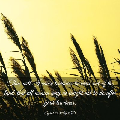 Picture 03 - Ezekiel 23:48 WEB - Thus will I cause lewdness to cease out of the - Bible Verse Picture