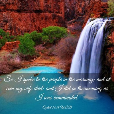 Picture 03 - Ezekiel 24:18 WEB - So I spoke to the people in the morning; and at - Bible Verse Picture