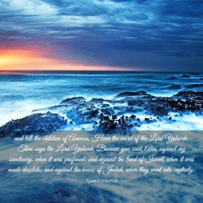 Picture 03 - Ezekiel 25:3 WEB - and tell the children of Ammon, Hear the word of - Bible Verse Picture