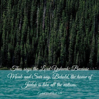 Picture 03 - Ezekiel 25:8 WEB - Thus says the Lord Yahweh: Because Moab and Seir - Bible Verse Picture