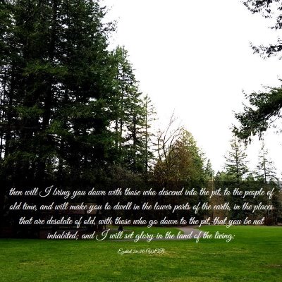 Picture 03 - Ezekiel 26:20 WEB - then will I bring you down with those who descend - Bible Verse Picture
