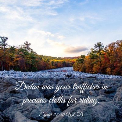 Picture 03 - Ezekiel 27:20 WEB - Dedan was your trafficker in precious cloths for - Bible Verse Picture