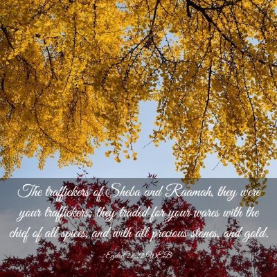 Picture 03 - Ezekiel 27:22 WEB - The traffickers of Sheba and Raamah, they were - Bible Verse Picture