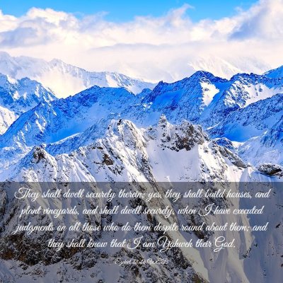 Picture 03 - Ezekiel 28:26 WEB - They shall dwell securely therein; yes, they - Bible Verse Picture