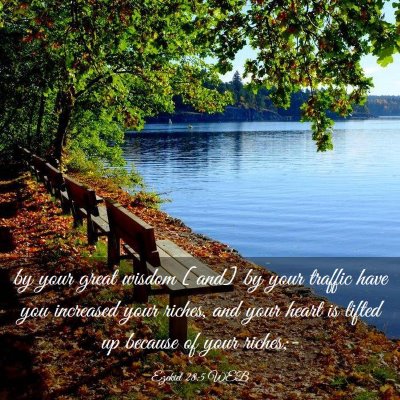Picture 03 - Ezekiel 28:5 WEB - by your great wisdom [and] by your traffic have - Bible Verse Picture