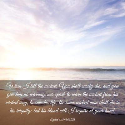 Picture 03 - Ezekiel 3:18 WEB - When I tell the wicked, You shall surely die; and - Bible Verse Picture