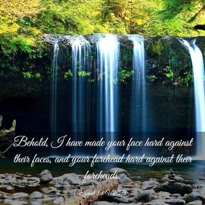 Picture 03 - Ezekiel 3:8 WEB - Behold, I have made your face hard against their - Bible Verse Picture